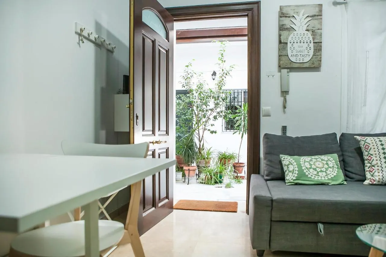 Apartment Centrico, Patio Tipico Sevillano Spain